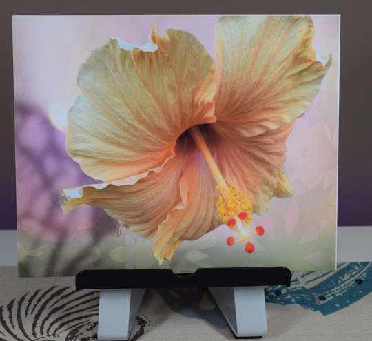 Hibiscus Pastel Shades Of Yellow & Orange Giclee Print