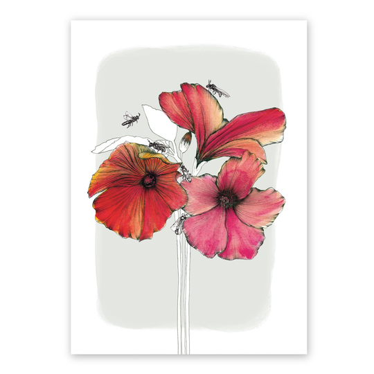 Hibiscus & Homalictus Bees Art Print, Australian Art/Floral Illustration, A4, A3, A2, Birthday Present/Housewarming Gift/Flower Wall