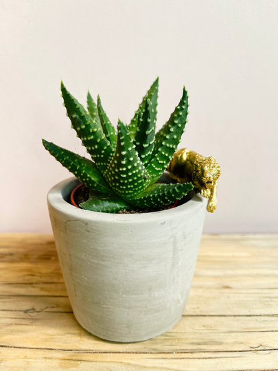Lion Pot Hanger
