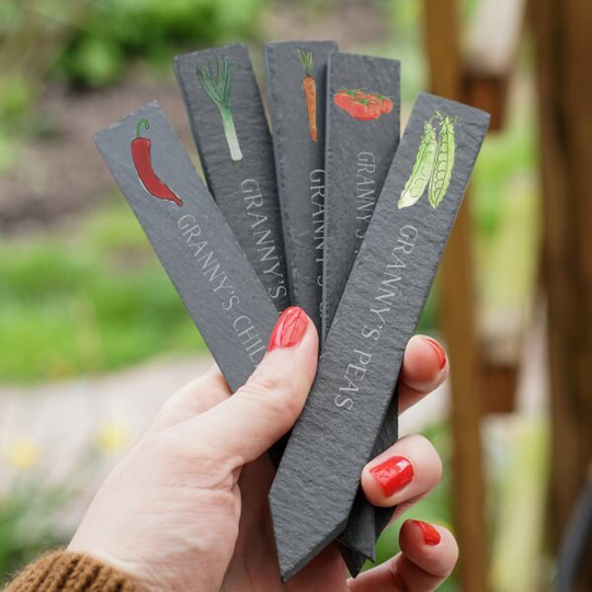 Herb & Vegetable Slate Plant Markers