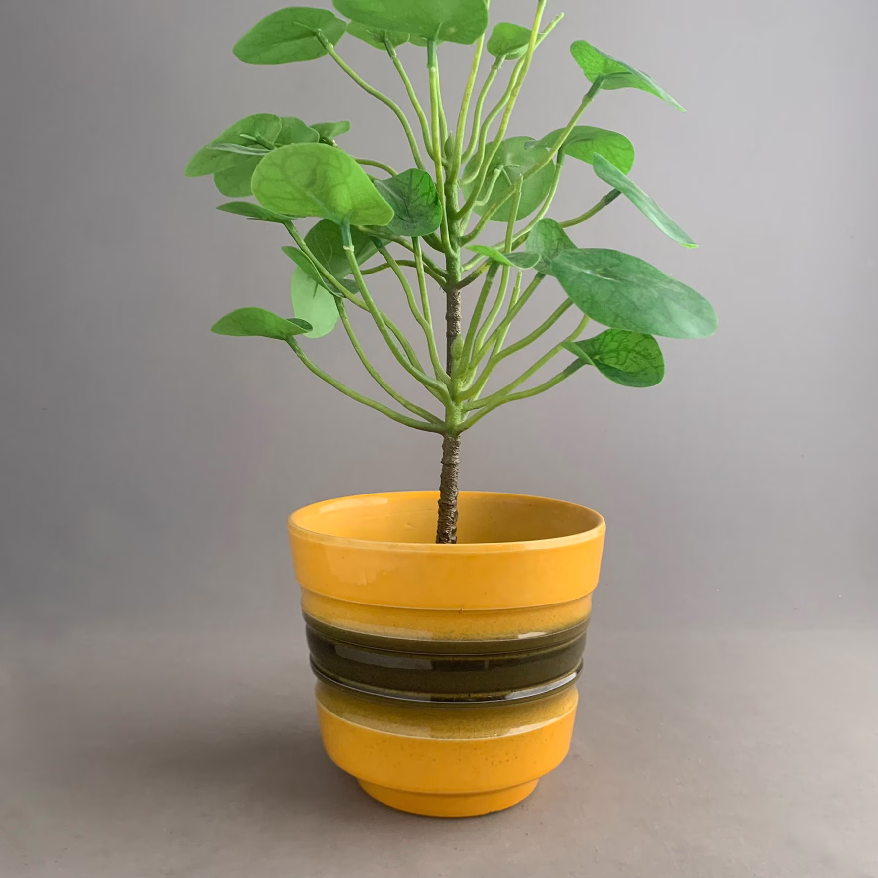 1970S Plant Pot