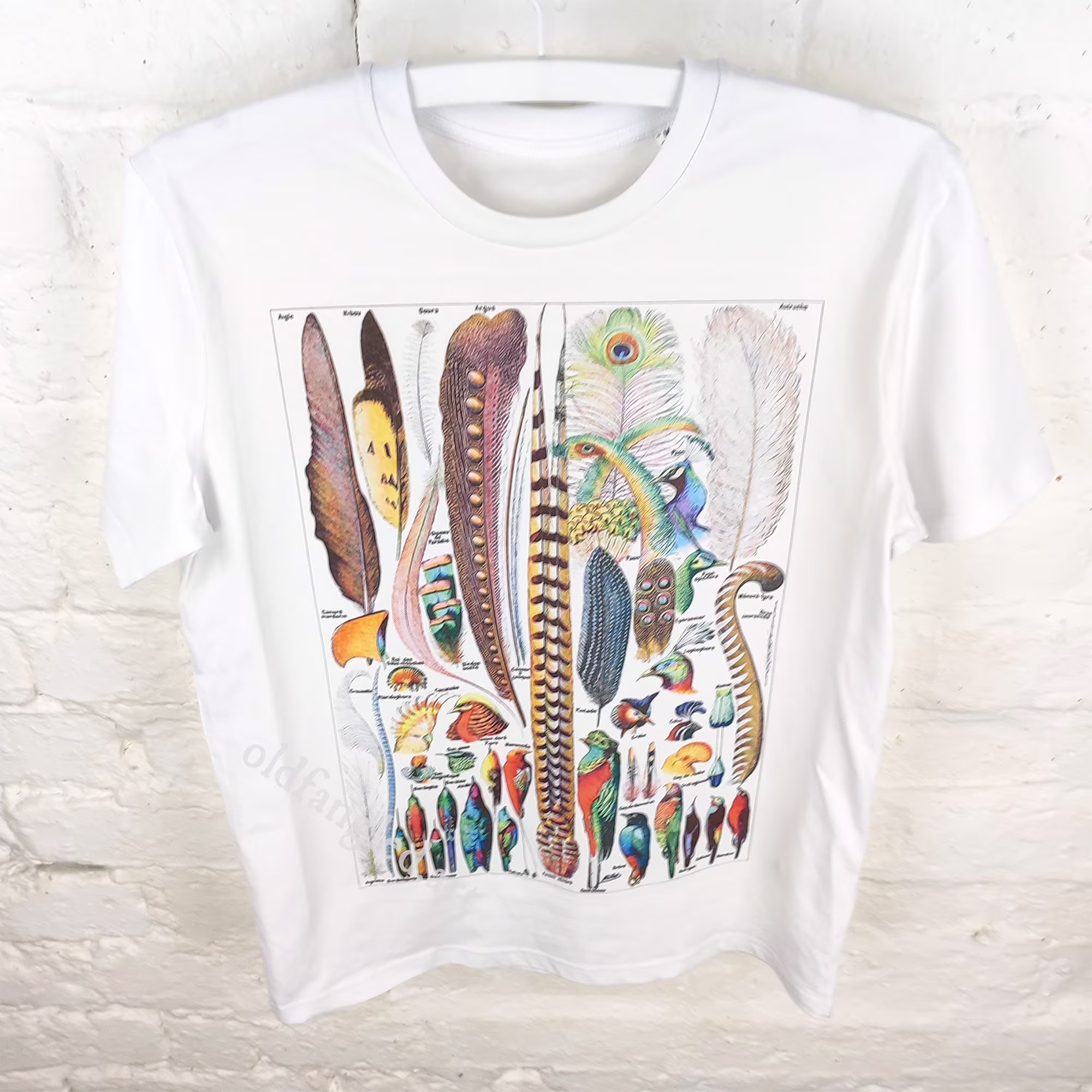 Feathers | 1922 - Unisex Organic T-Shirt, Vintage Style Zoology T-Shirt, Plumes T-Shirt