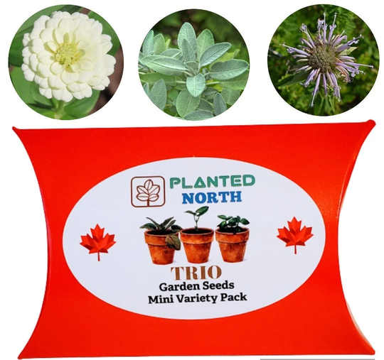 Pollinator Seeds Variety Pack - Organic Sage, Wild Bergamot, Zinnia Flower | 150 Seeds Attracts Hummingbirds, Bees & Butterflies