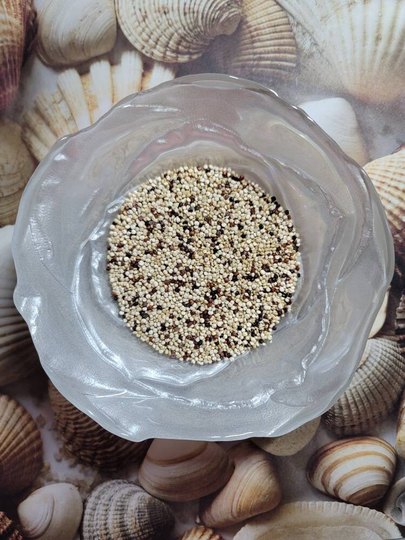 Organic Quinoa | Hermit Crab Food