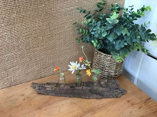 Driftwood 12