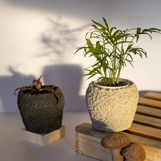 Greyt Rocky Random Rubble Masonary Concrete Planter For Balcony Or Living Room Indoor & Outdoor Plants & Succulents, Eccentric Flower Pot
