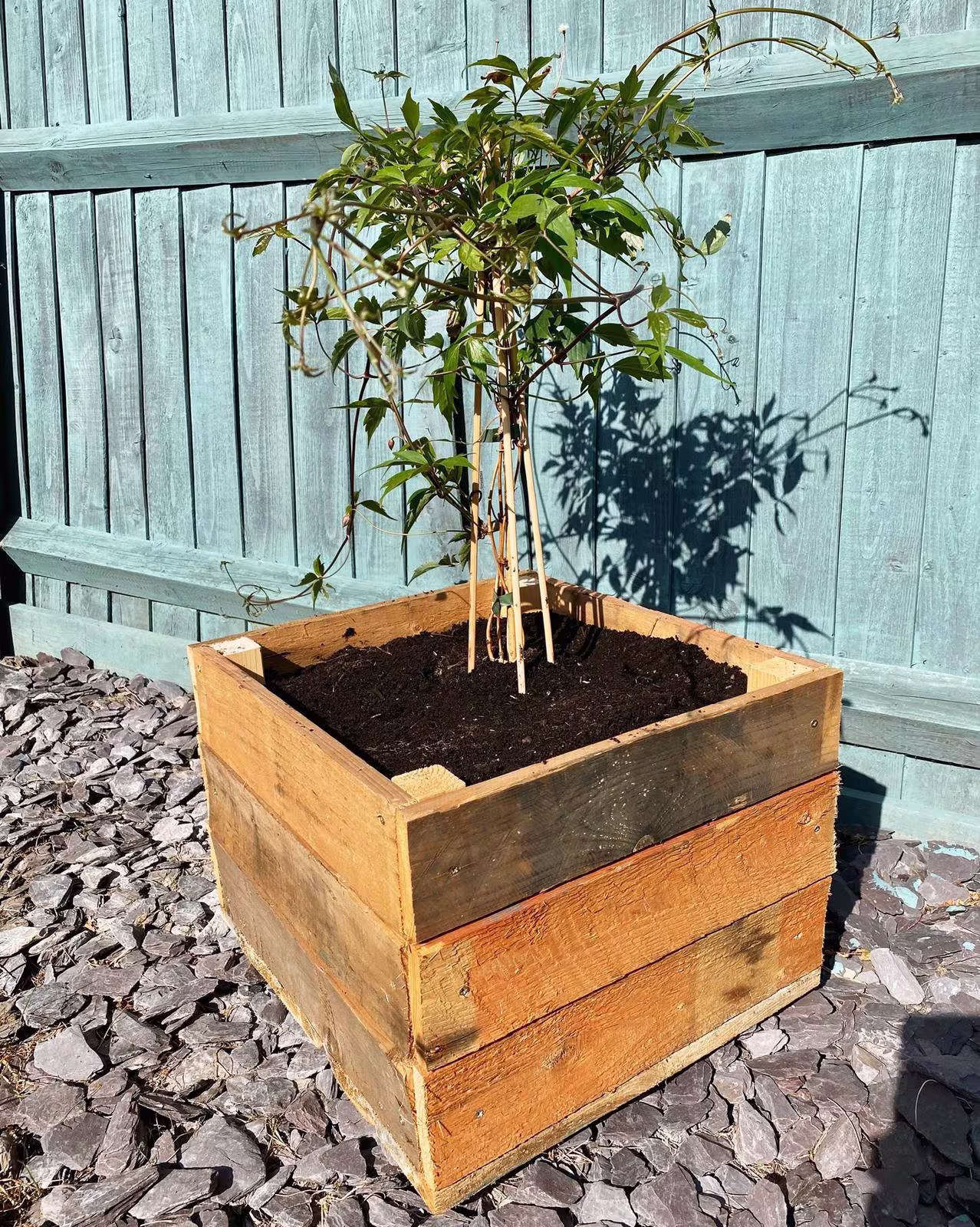 Wooden Garden Planter, Veg Box, Herb Flower Patio Planter