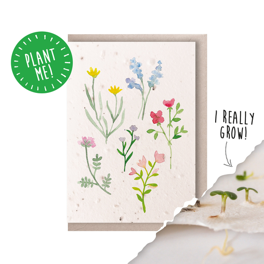 Plantable Seed Card Wildflowers Handpainted