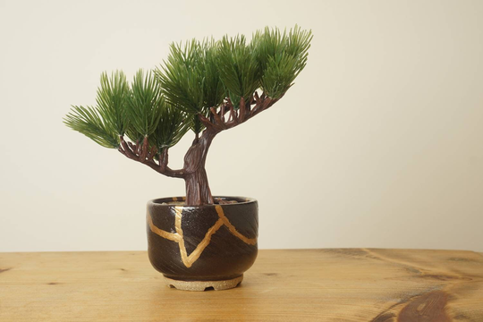 Bonsai Pot. Miniature Black Bonsai Kintsugi Effect. Handmade Wheel Thrown Studio Pottery. G402O