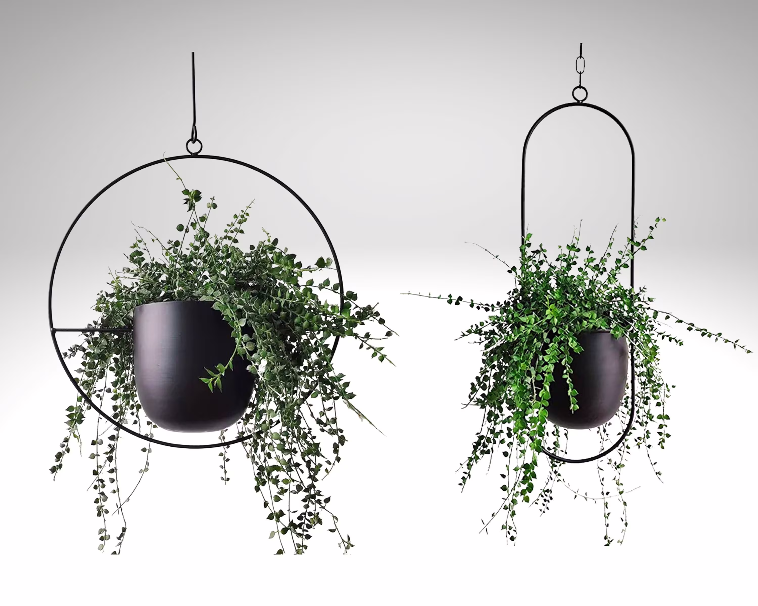Metal Hanging Planter Pots, Iron Planter, Swing Flower Basket, Modern Minimalist Plant Hanger, Succulent 6 Colors