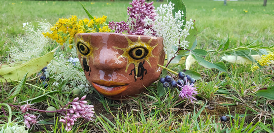 Golden Sun Beetle Face Planter
