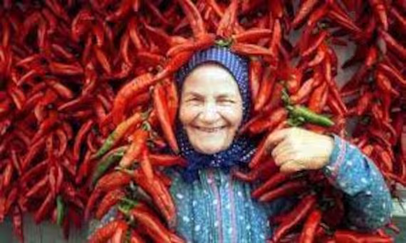 100 Seeds 100% Original Hungarian Sweet Spice Paprika Pepper Festival Sweet For Powder Heirloom Variety