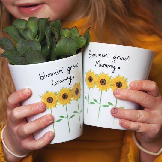 Sunflowers Plant Pot With Sunflower Seeds For Mums