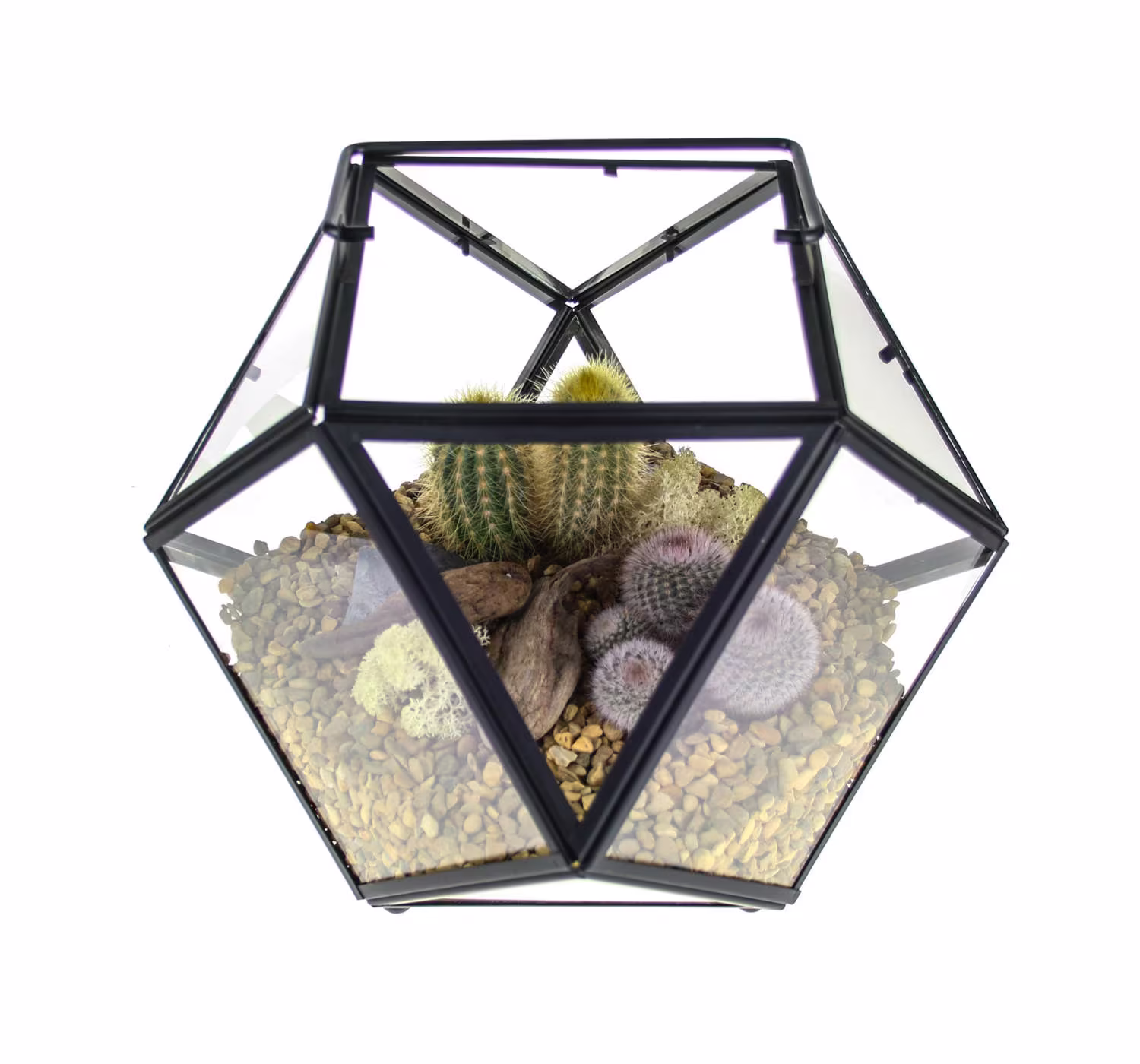 Large Cactus Terrarium Kit, Geometric Design in Metal & Glass Featuring Living Cacti | Home Accessory Gift Ideas