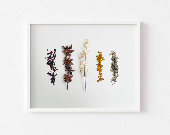 Spices & Herbs Art, Medicinal Herb Art, Plant Print, Farmhouse Wall Decor, Botanic Hygge Botany Minimalist Art Print