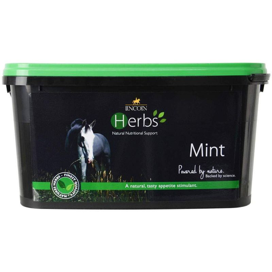 Lincoln Herbs Mint (600g) (Mint) - Mint