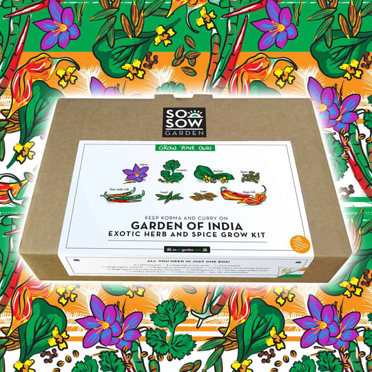 Garden Of India Grow Your Own Kit