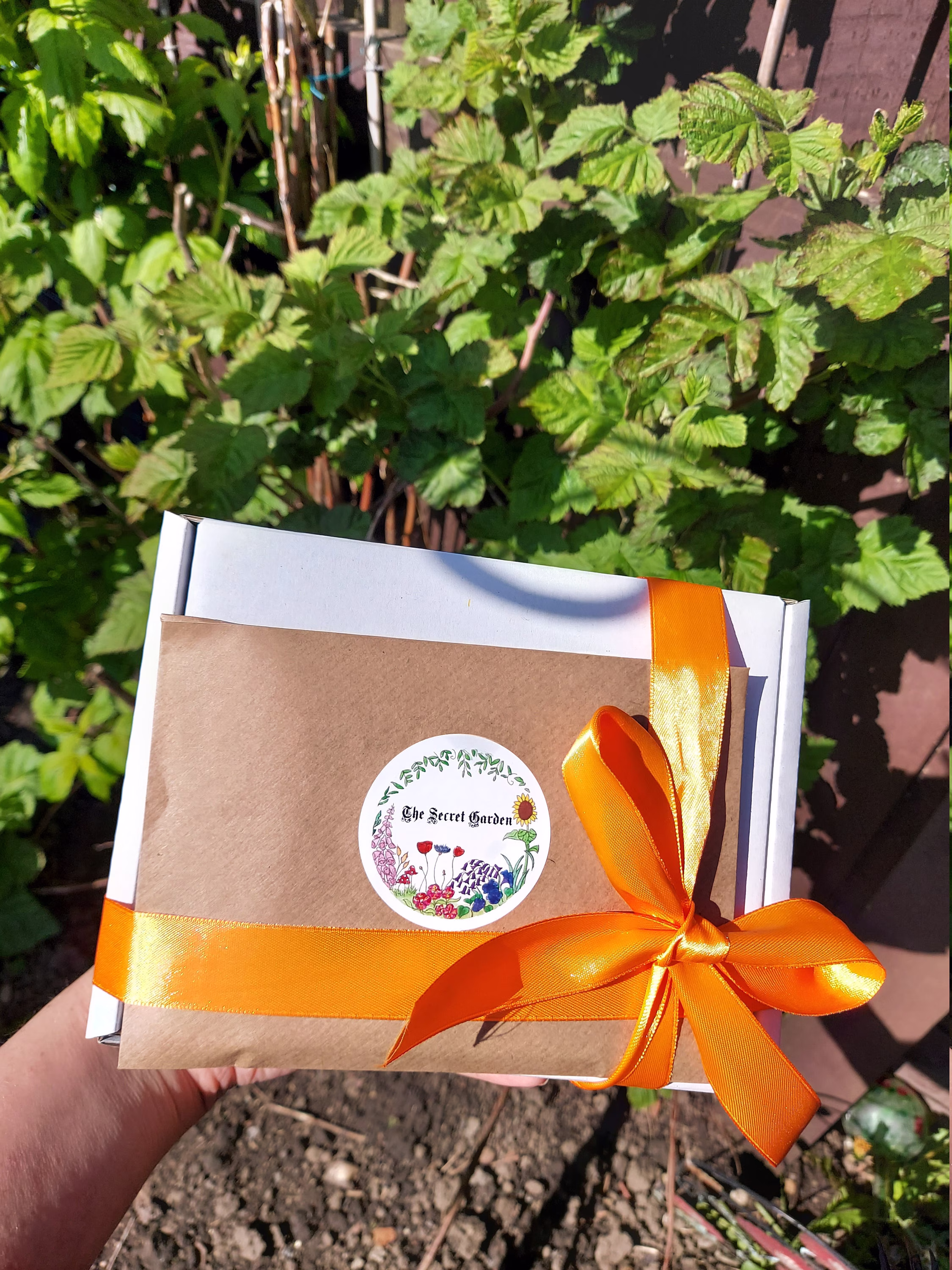 Flower Seed Growing Kit | The Secret Garden - Eden Box Fairytale Garden Kit Perfect Gift To Nature & Yourself