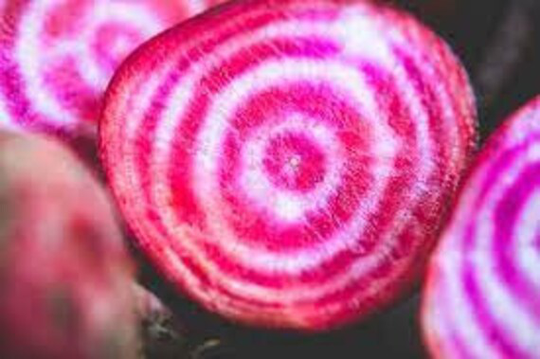 Chioggia Beet Seeds, Us Heirloom Organic Non Gmo, Free Gift With Order