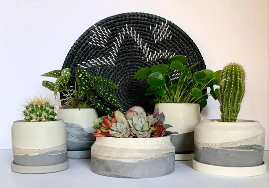 Concrete Plant Pot | Desert Planter House Plants Minimalistic Boho Pot Gift Handmade Plantmom