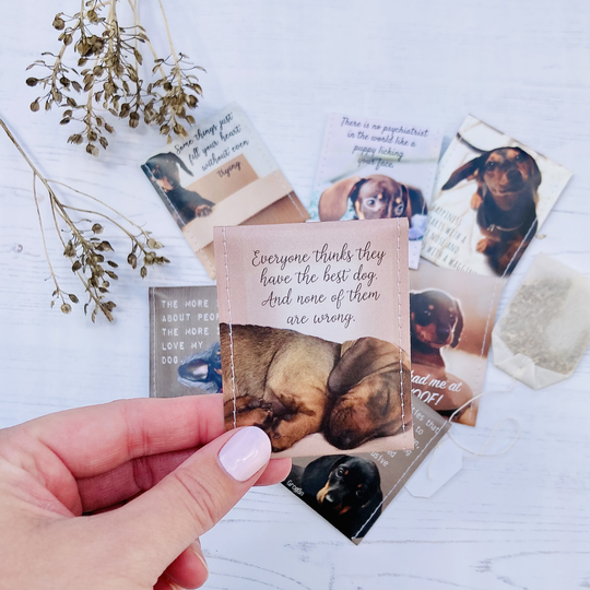 Sausage Dog Lovers Tea Gift Set