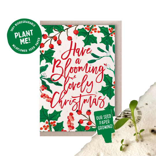 Blooming Lovely Christmas Seed Card/Plantable Recycled Eco Friendly