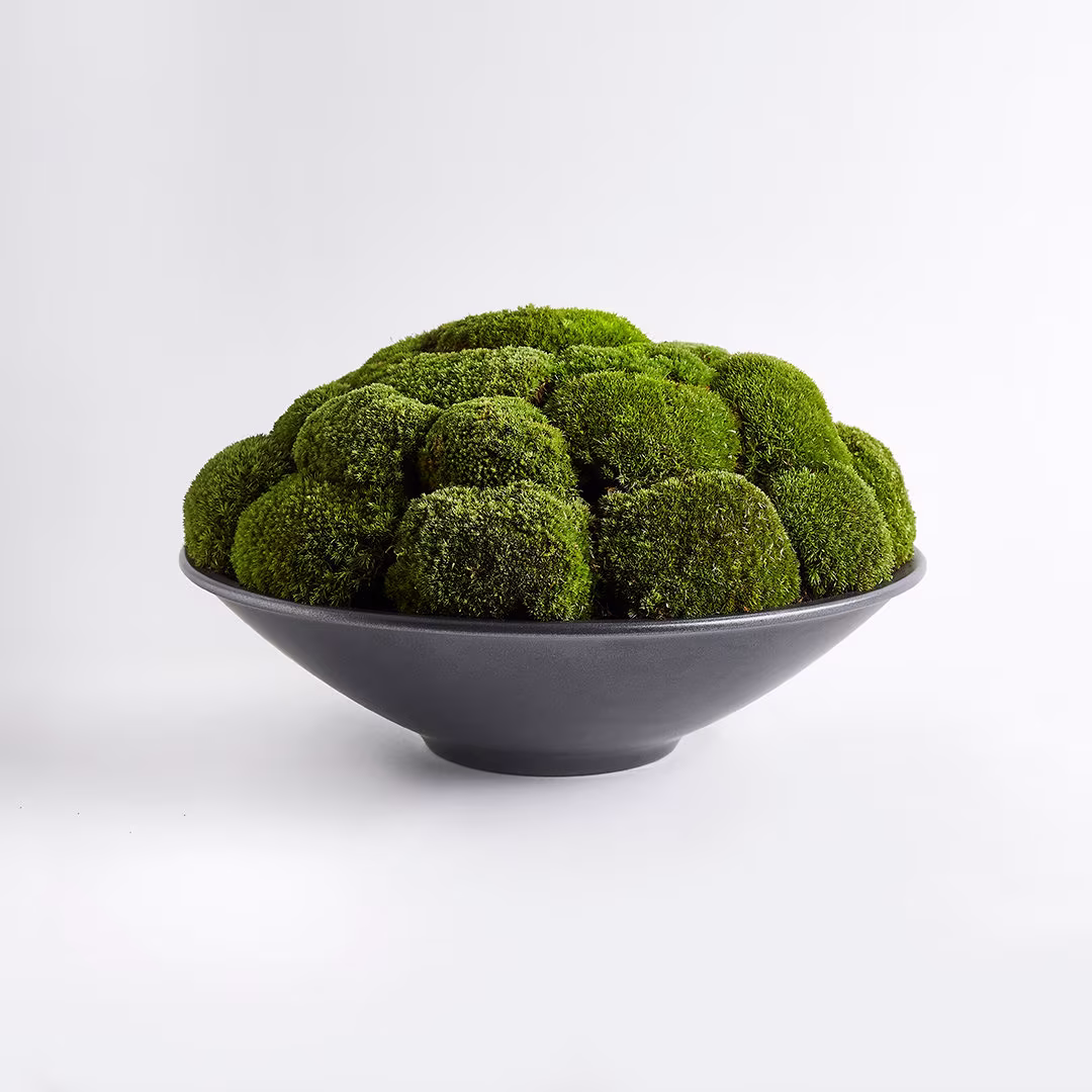 Anthracite Moss Bowl