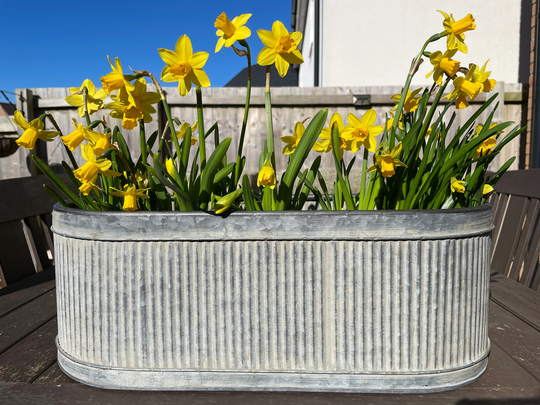 Set Of 3 Or Single Galvanised Zinc Ribbed Metal Pots Planters | Round Garden Flower Plant