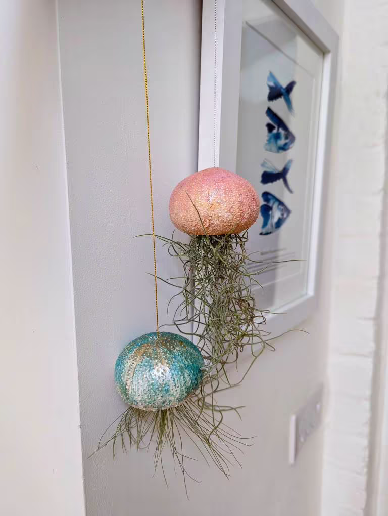 Two Large Jellyfish Air Plants, Handmade With Clay, Ocean Theme Decor, Sustainable Plant Pots
