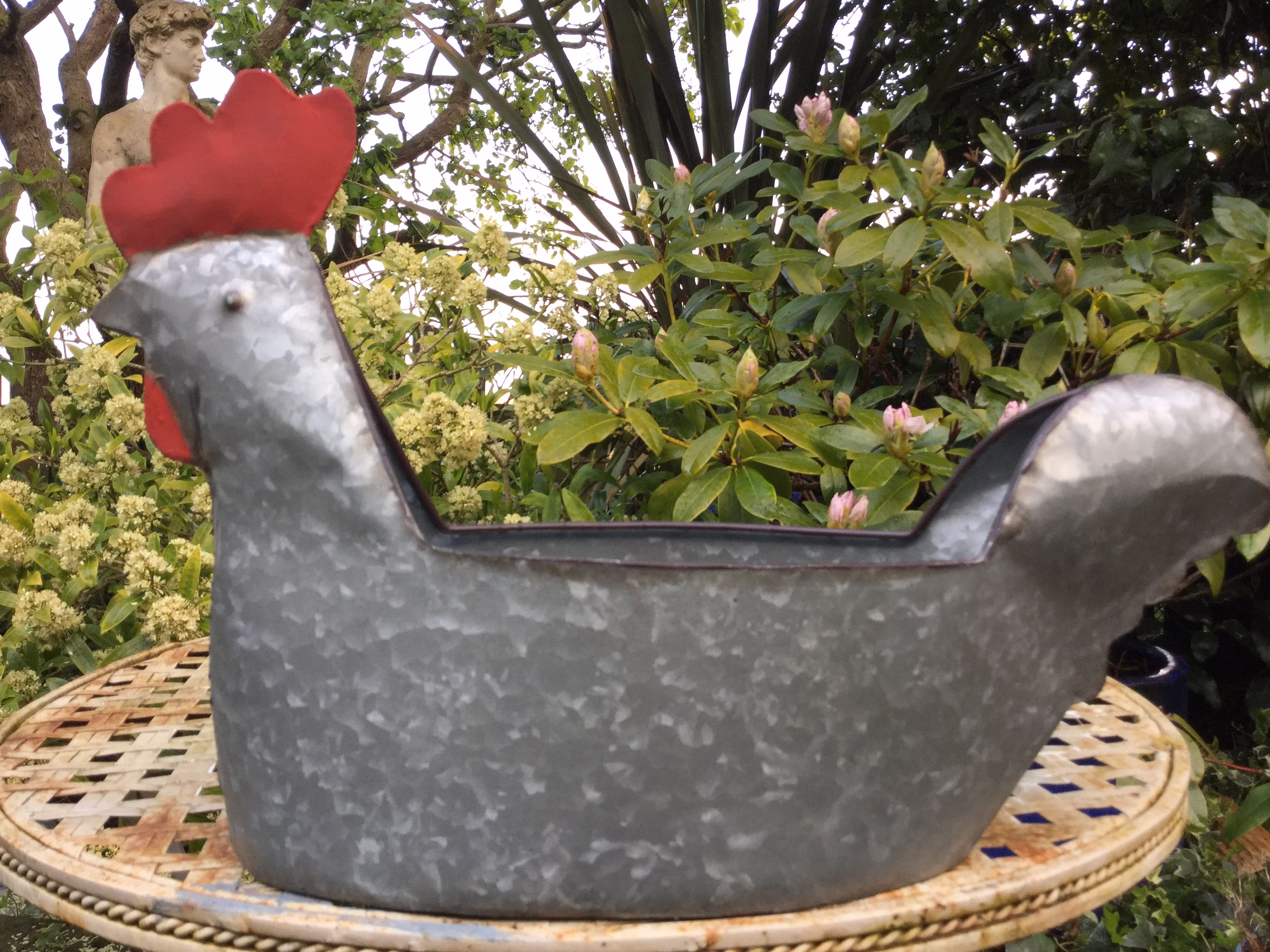 Zinc Galvanised Chicken Rooster Herb Planter