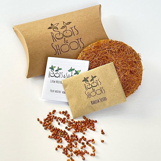 Grow Your Own Radish Microgreens In A Tin Refill Pack