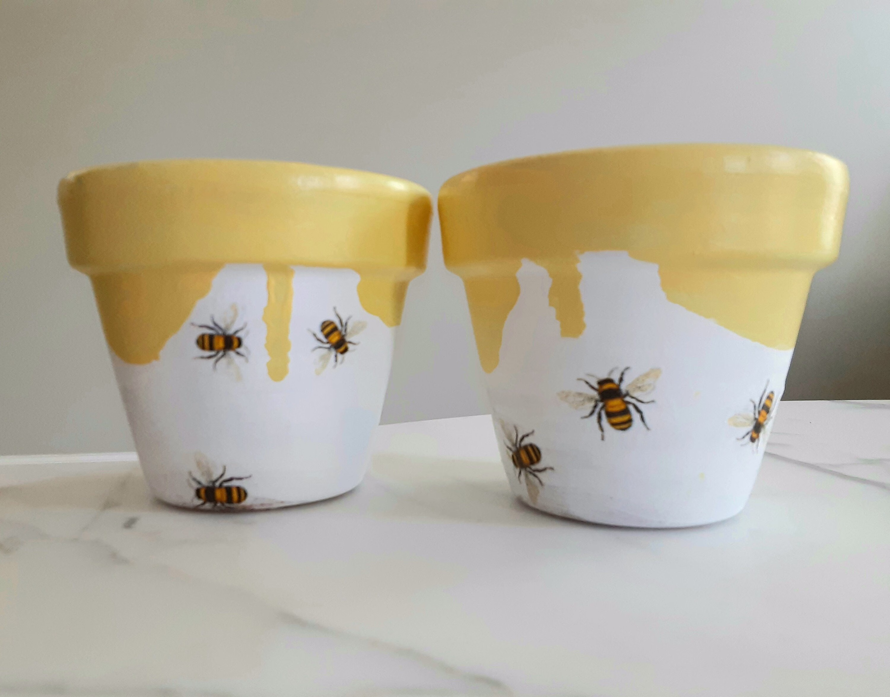 Set Of 2-Honeybee Clay Pots - 4.5-Inch, Honeybee Gifts, Bee Clay Pots, Planters, Terracotta Decoupage Save The Bees