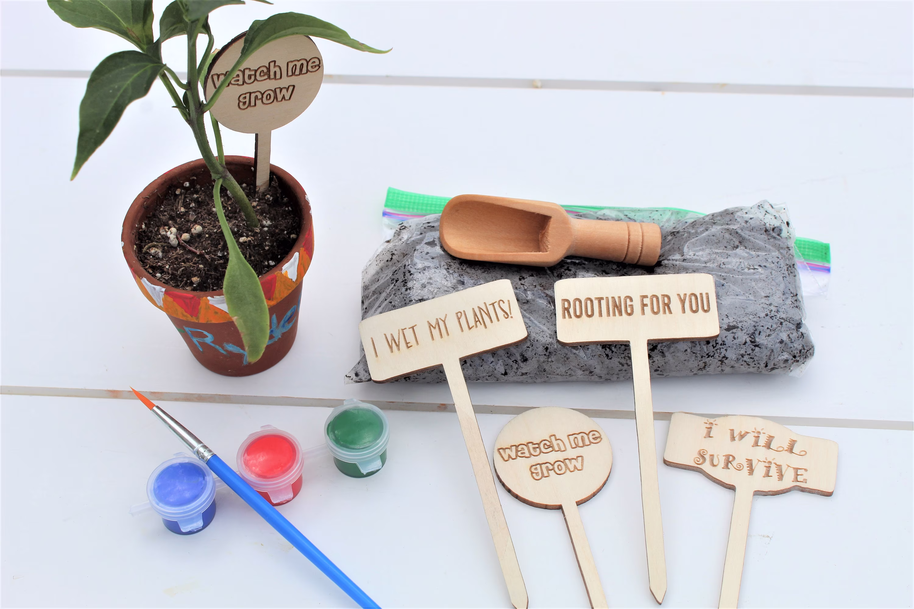 Kids Gardening Kit Summer Project, Planting Kit Diy, Childrens Gardening Planters Kit, Diy Garden Planter