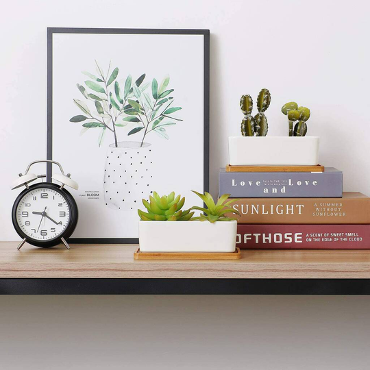 Pack Of Two Rectangle Ceramic Planters