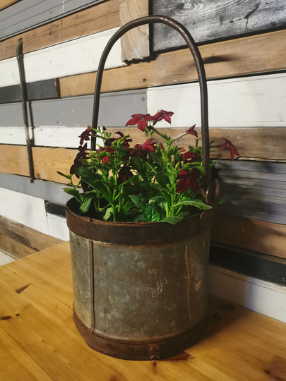Original Vintage Galvanised Garden Planters/Pot Flower Vegetable Planter Free UK Delivery