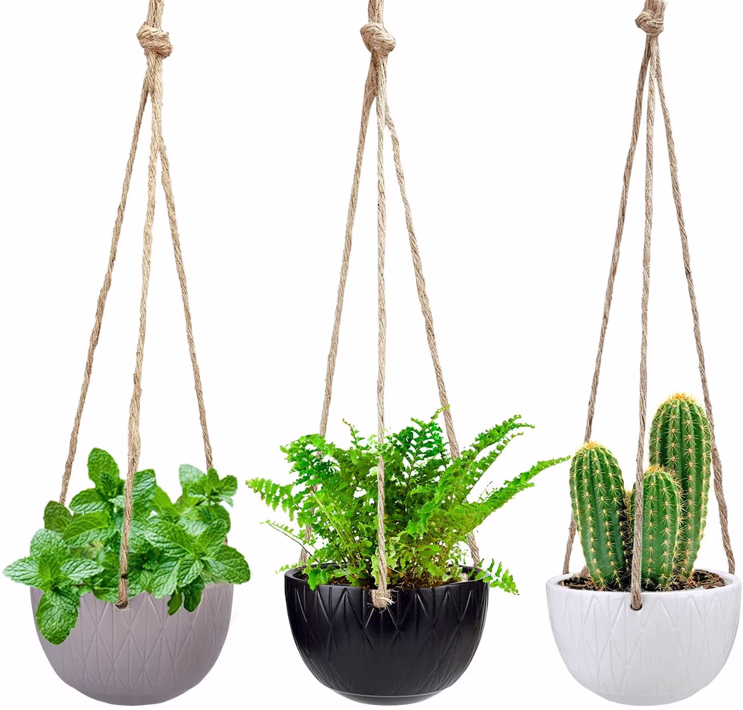 3 Pack Indoor Flower 5.1 Inch Ceramic Hanging Succulent Cactus Herbs Plants | Black, White, Grey