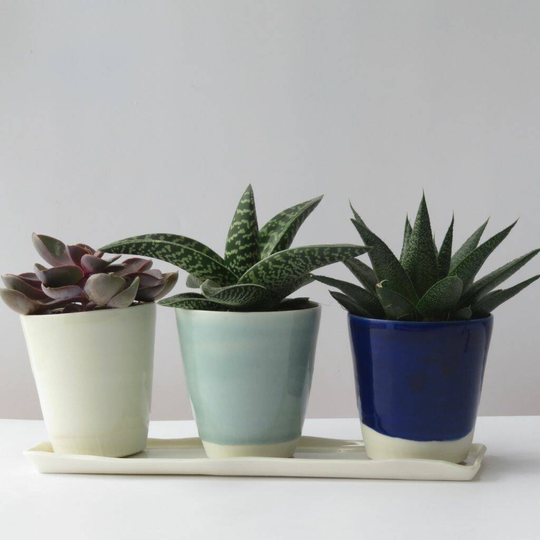 Set Of Three Window Sill Planters
