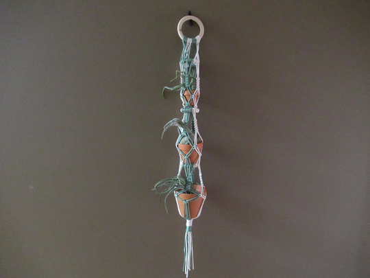 Air Plant Or Succulent Macrame Holder/Hanger - Tillandsia