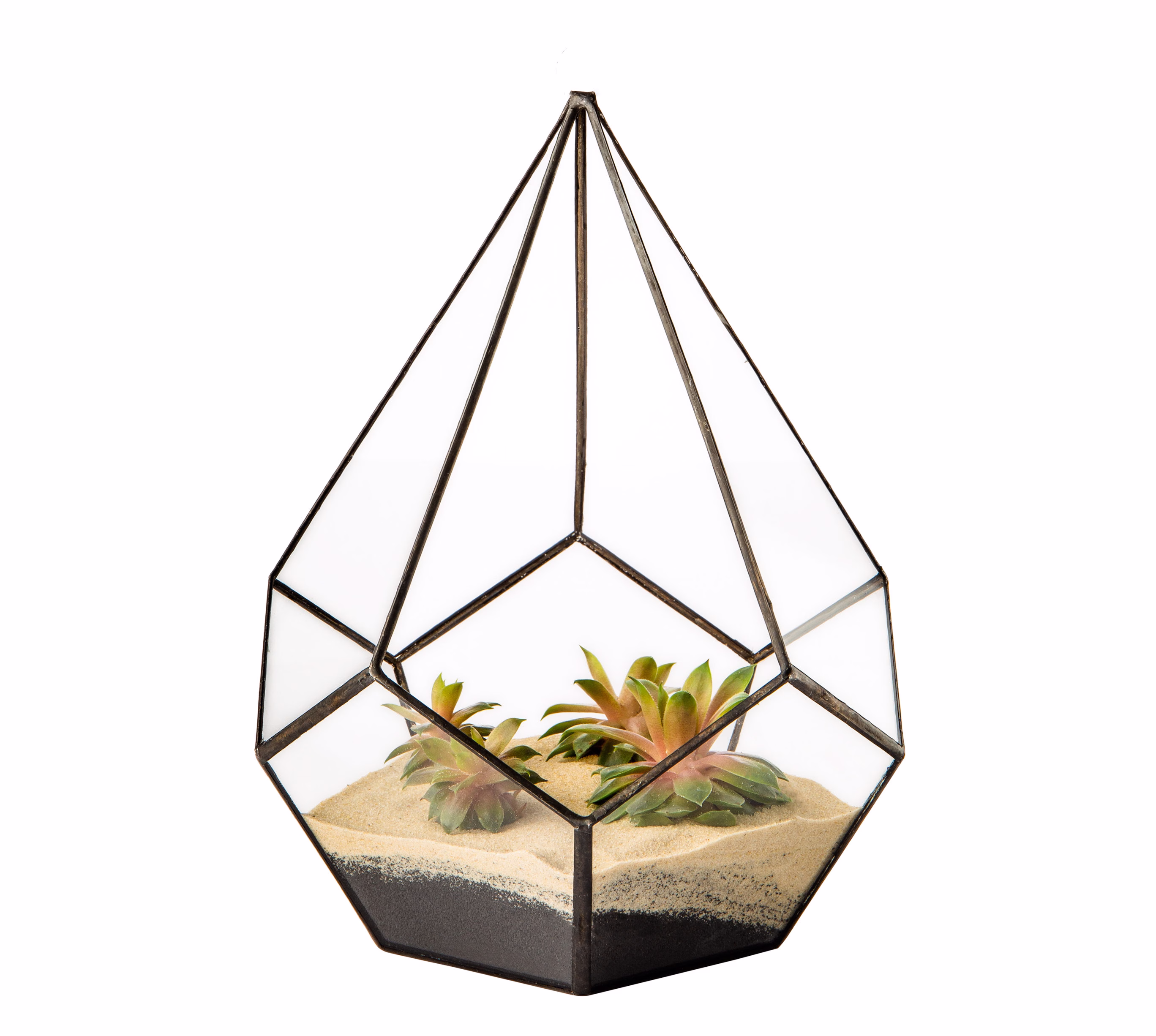 Teardrop 20.5x20.5x26.5cm Clear Glass Terrarium Planters Geometric Shape Weddings Unique Centrepiece For Air Plants Fern Moss Indoor Garden