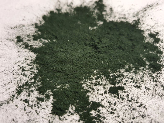 Chlorophyllin Extract Powder - 20G 200% Natural Plant Green