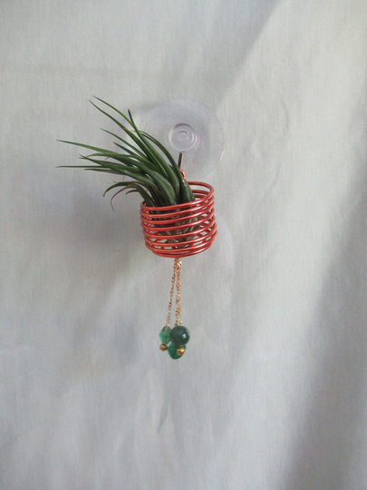 Window Wire Air Plant Hanger Medium Burnt Orange - Tillandsia