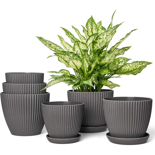 Bearsu - 6 Packs Plastic Planters with Saucers Indoor Flower Plant Pot, 3 Different Size Gardening Containers with Drainage Trays for Flowers, Herbs,