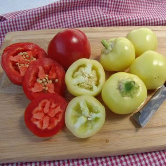 Sweet Pepper Ontara Seeds Open-Pollinating Non Gmo For Planting | 204545