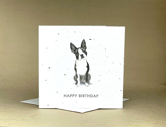 Plantable Eco-Friendly Seeded Card/Happy Birthday ... Boston Terrier