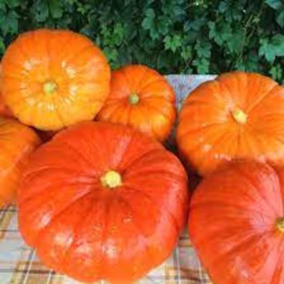 Pumpkin Seeds Candy