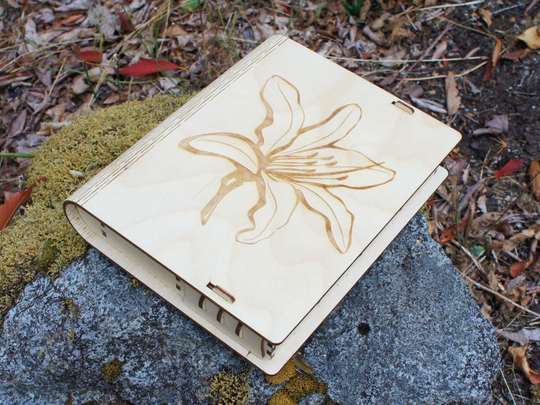 Jewelry Box - Living Hinge