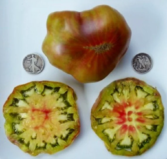 Ananas Noir - 40 Hand Picked Seeds