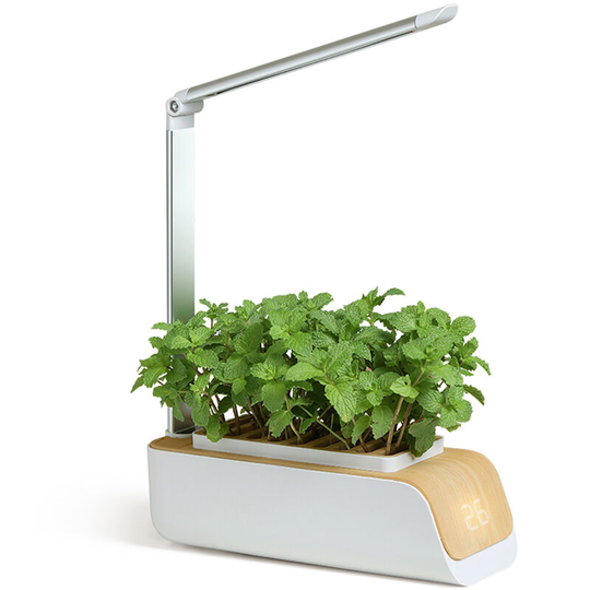Hydroponics Growing System, Indoor Herb Garden Kit with Grow Light, Smart Garden for Home and Kitchen