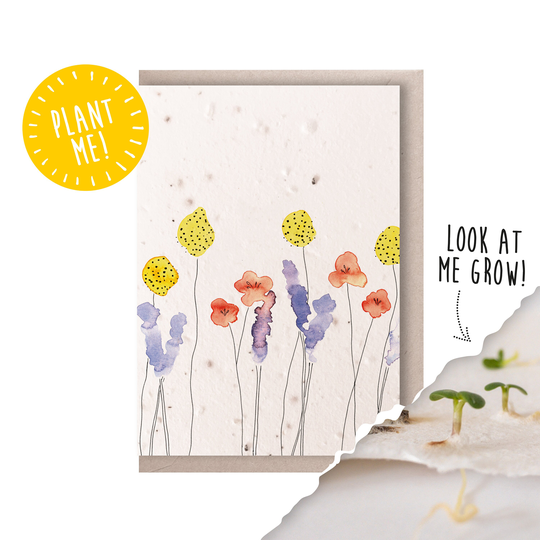 Seed Card/Billy Button Plantable Eco Friendly & 100% British Made
