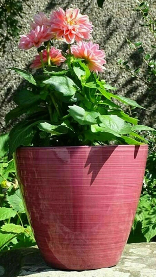 30cm Large Plastic Round Coral Pink Savannah Planter Plant Flowers Pot Cover